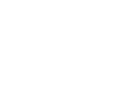 CHRISTOPHE ROUYER EXPERTISE